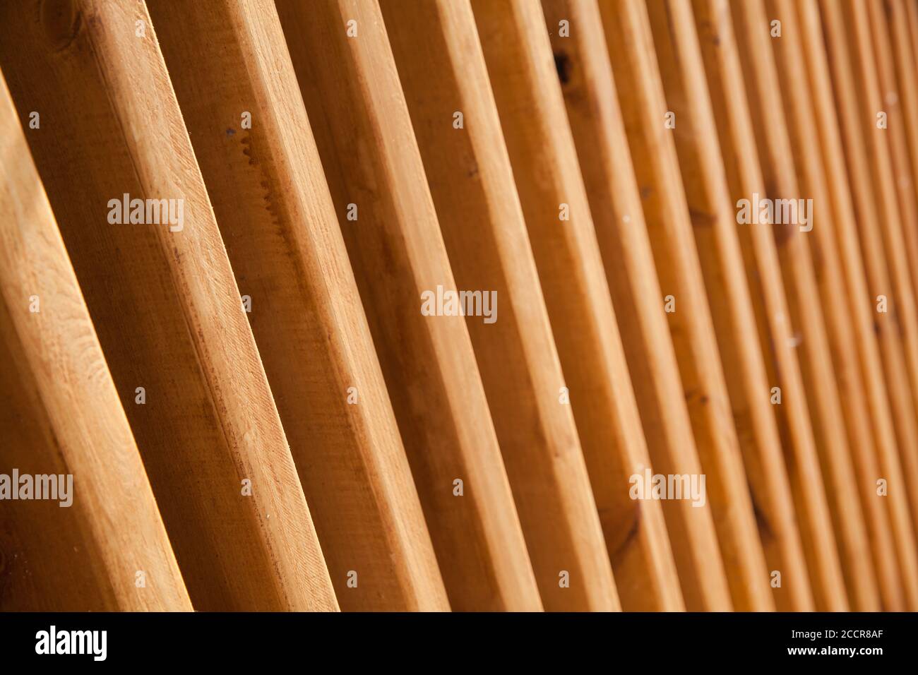 Abstrakte neue Holzkonstruktion Hintergrund Textur, Nahaufnahme Foto mit selektivem Fokus Stockfoto