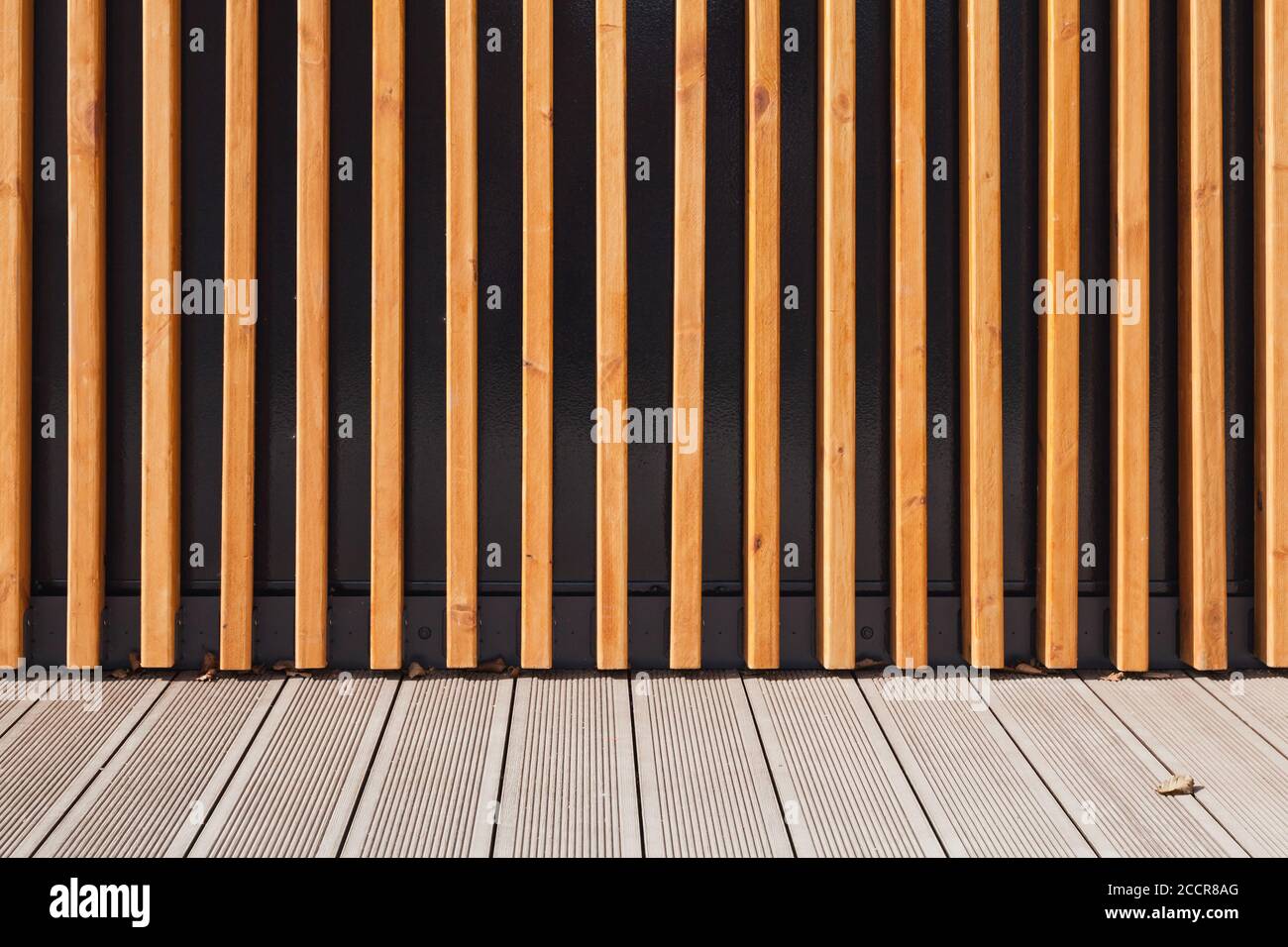 Abstraktes Innenhintergrundfoto. Neue Holzwand und Boden, Frontalansicht Stockfoto