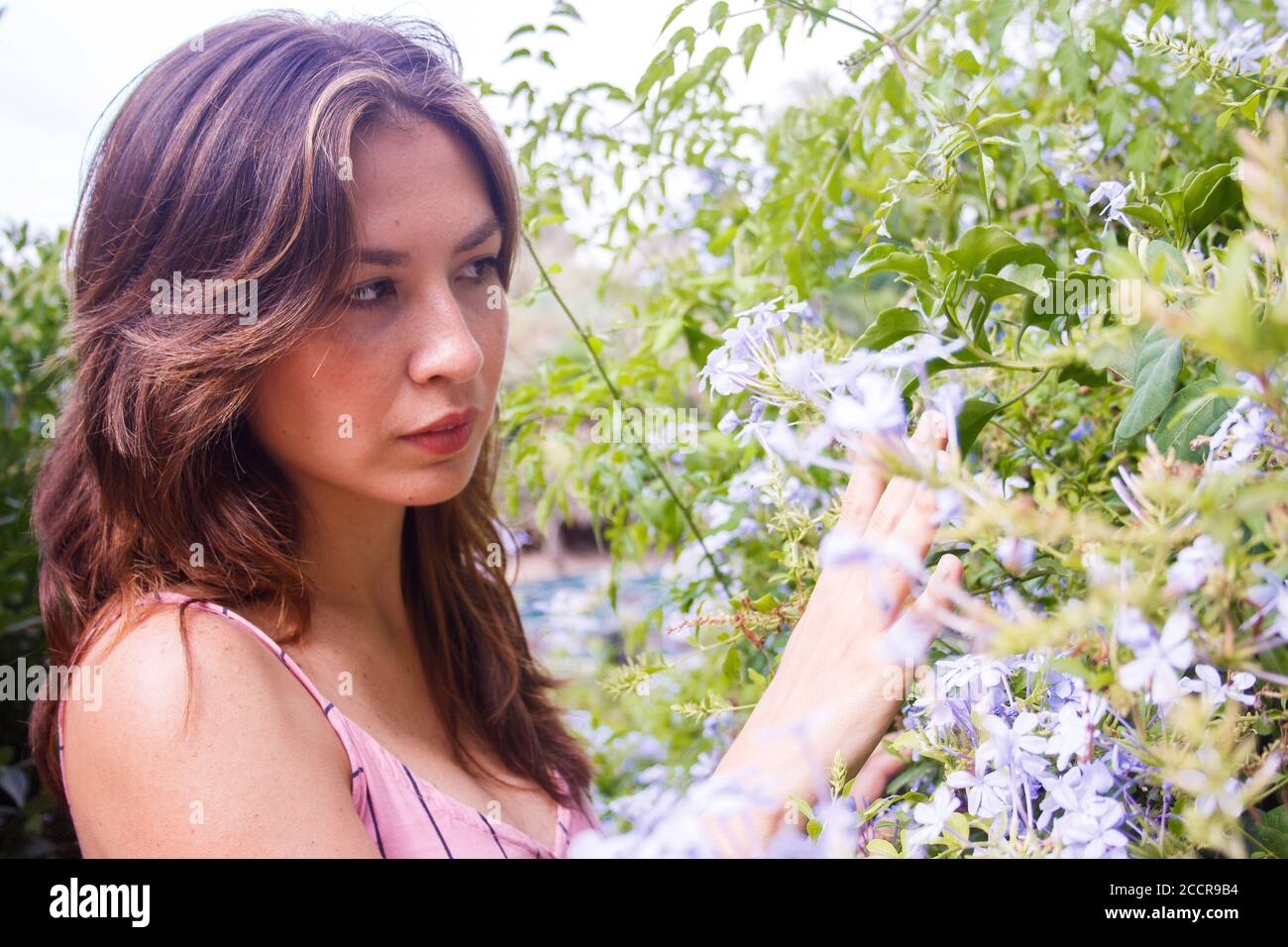 Junge Frau beobachtet Wildblumen. Mittlere Nahaufnahme. Horizontale Ansicht. Stockfoto