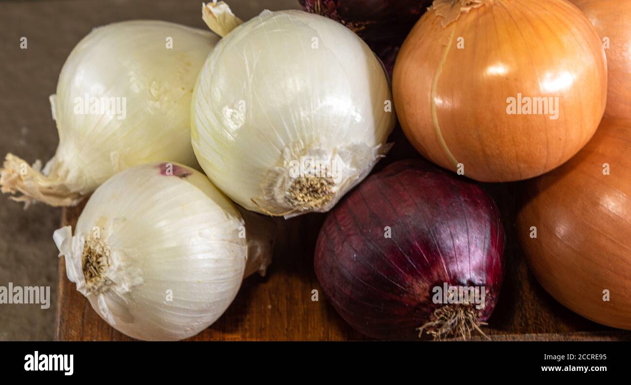 Zwiebeln (Allium cepa). Knollen als Gewürz verwendet. Kulinarische Zutaten. Würze für die Zubereitung von Speisen. Frisches Gemüse. Stockfoto