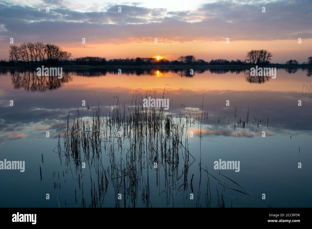 Sonnenuntergang und Wolken über einem ruhigen See mit Schilf Stockfoto
