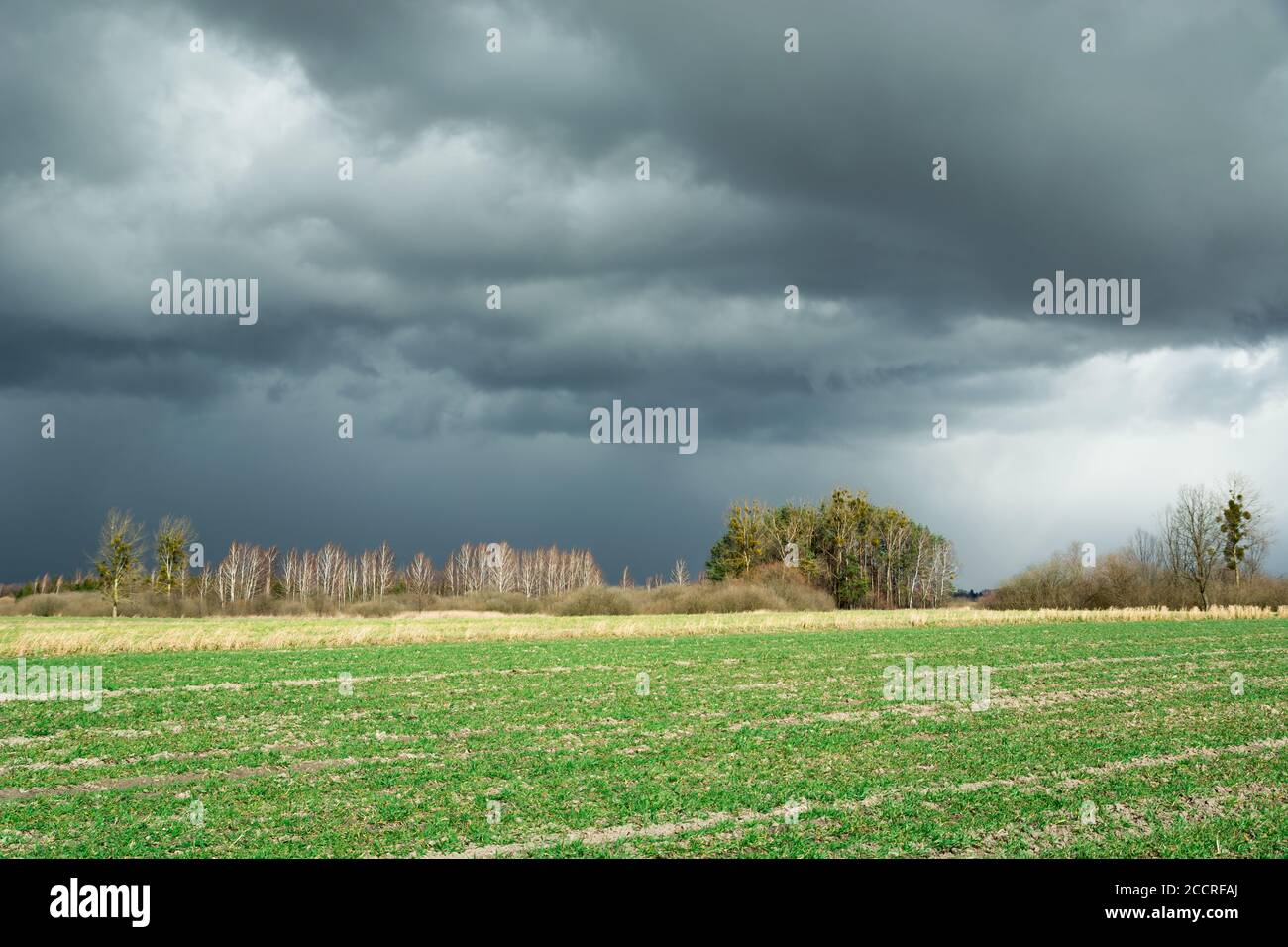 Dunkle Wolke mit Regen und grünem Feld Stockfoto