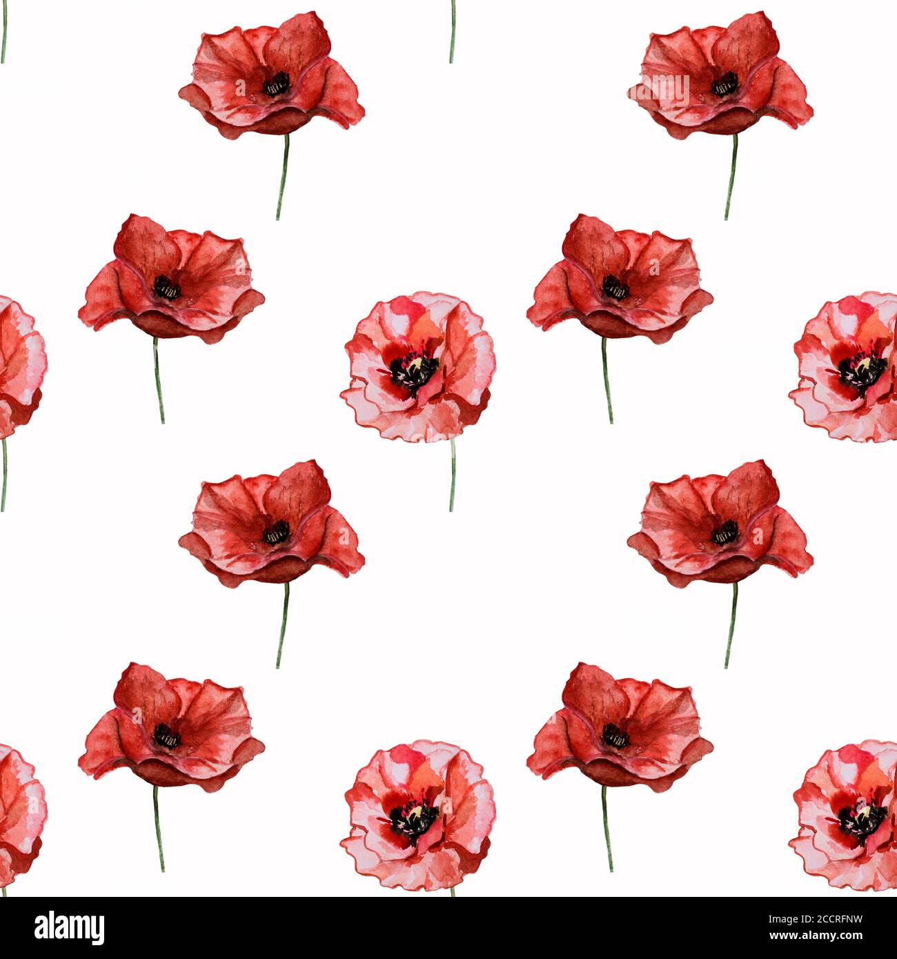 Schönes Bild von Mohnblumen. Alles Gute Zum Gedenktag Stockfoto