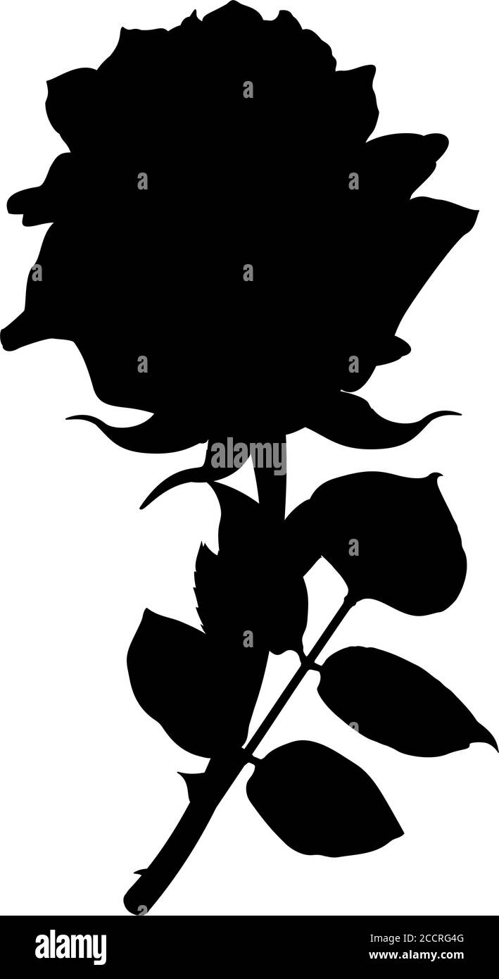 vektor schwarz Clip Art vintage Rose Blume Stock Vektor