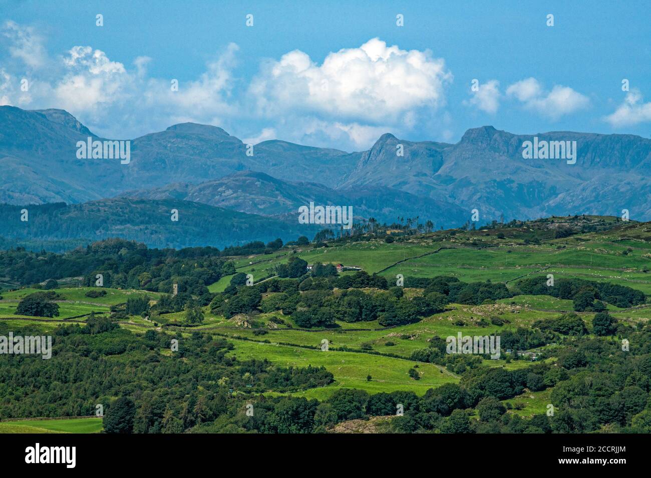 Blick von Scout Scar auf die High Lake District Fells im Nationalpark, einschließlich der Langdale Pikes. Foto aufgenommen im Sommer im sonnigen August. Stockfoto