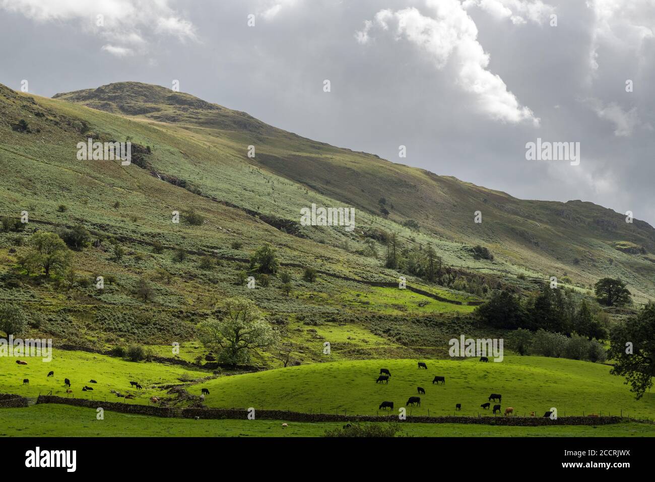 Stybarrow Dodd auf dem Helvellyn Ridge im Lake District National Park in Cumbria an einem Sommernachmittag. Stockfoto