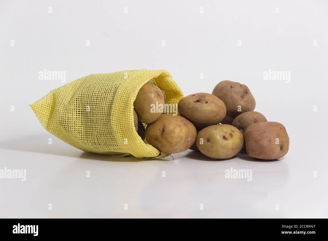 Kartoffelarten - peruanische Kartoffeln Stillleben - Weiß Kartoffel Stockfoto