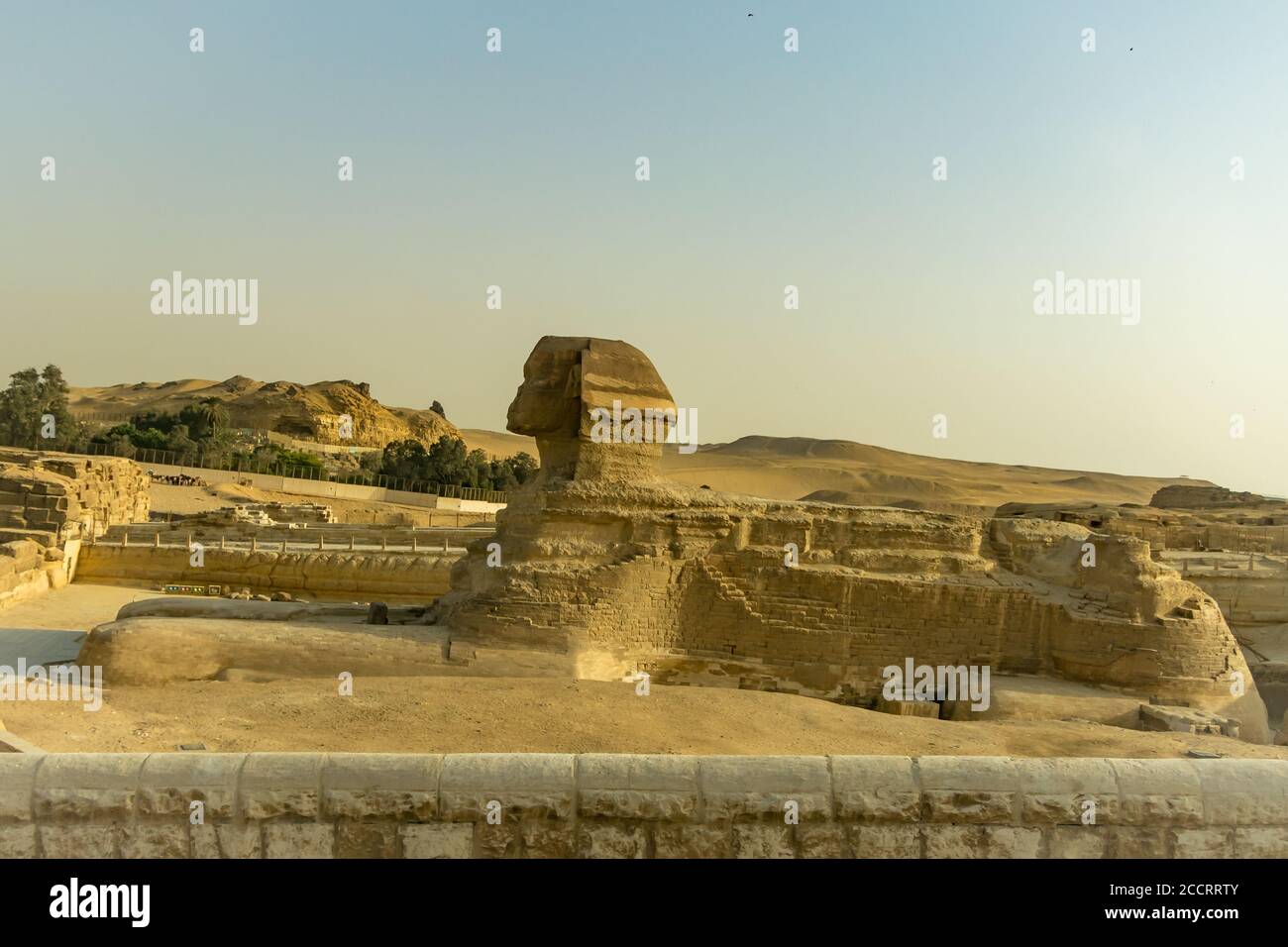 Gran Esfinge de Guiza. El Cairo. Egipto. Stockfoto