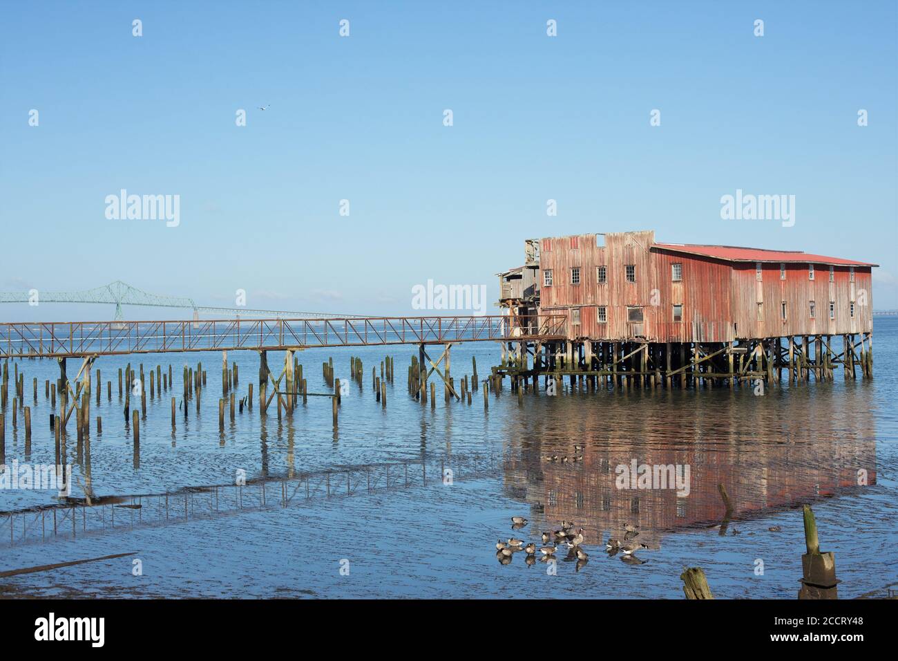 Ein alter Netztrocknungsschuppen am Columbia River in Astoria, Oregon, USA. Stockfoto