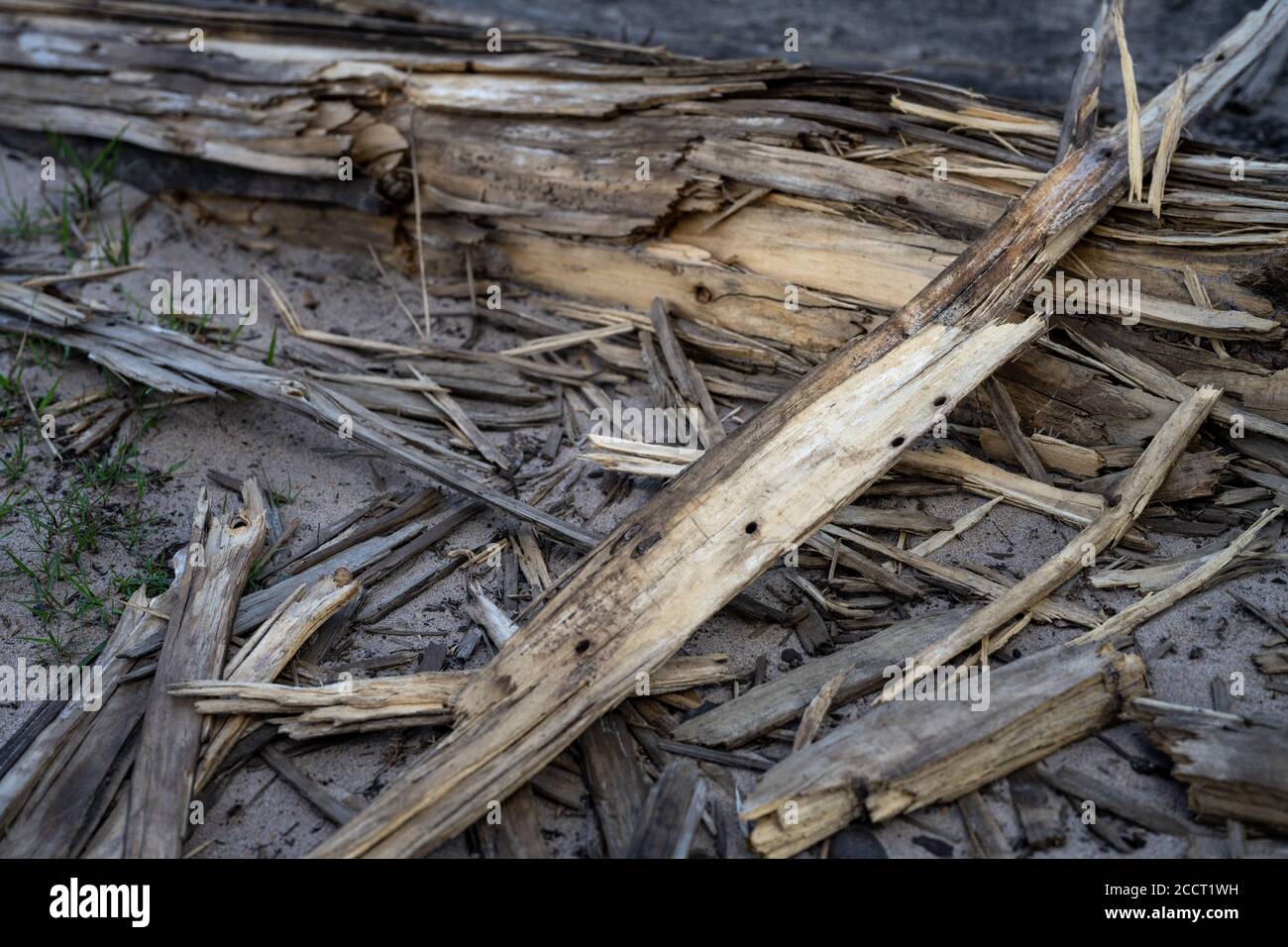 Thursley Common wird nach einem Brand im Mai 2020 wieder geöffnet Stockfoto