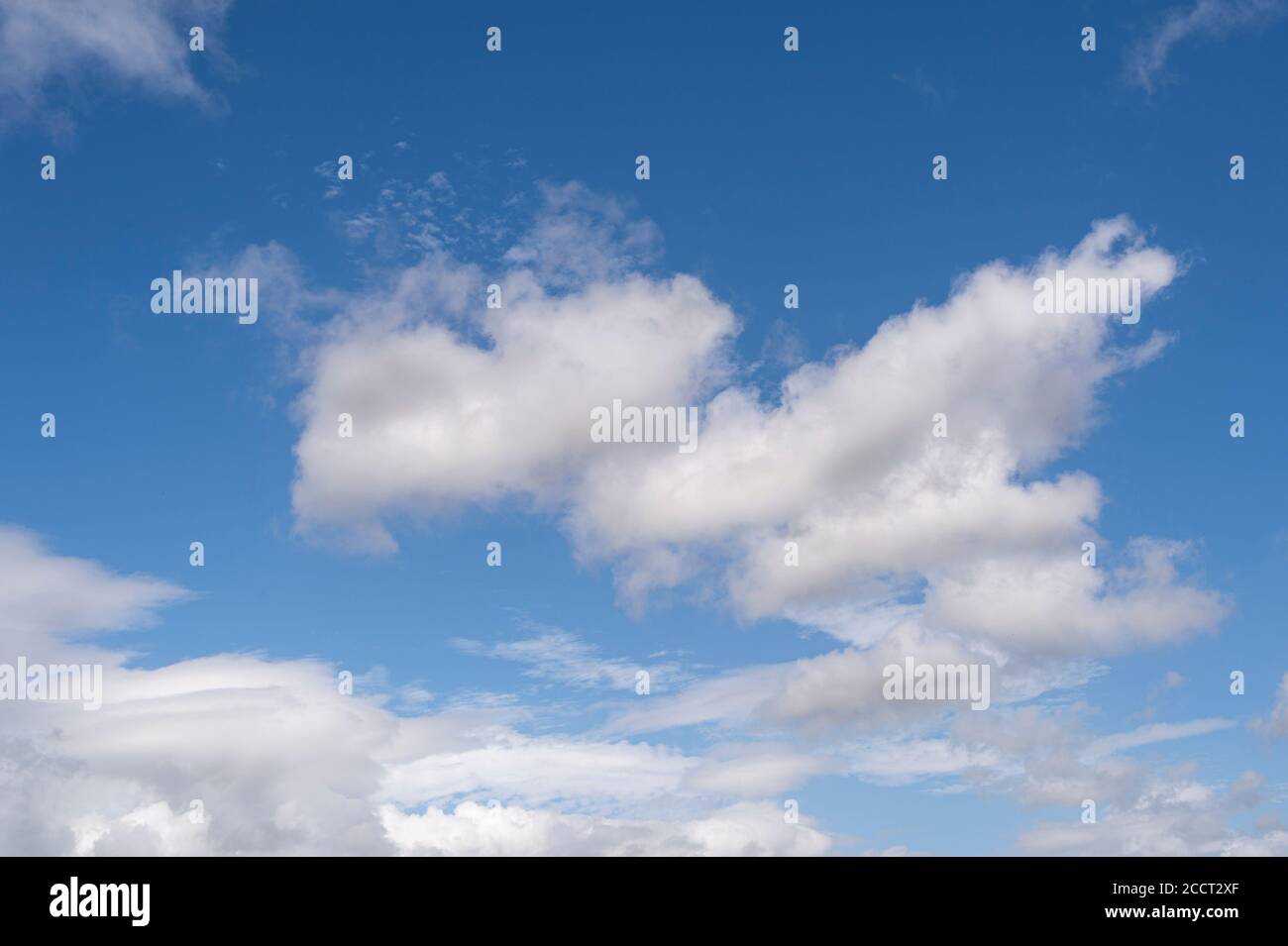 Flauschige weiße Wolken vor einem blauen Himmel. Hintergrund. Stockfoto