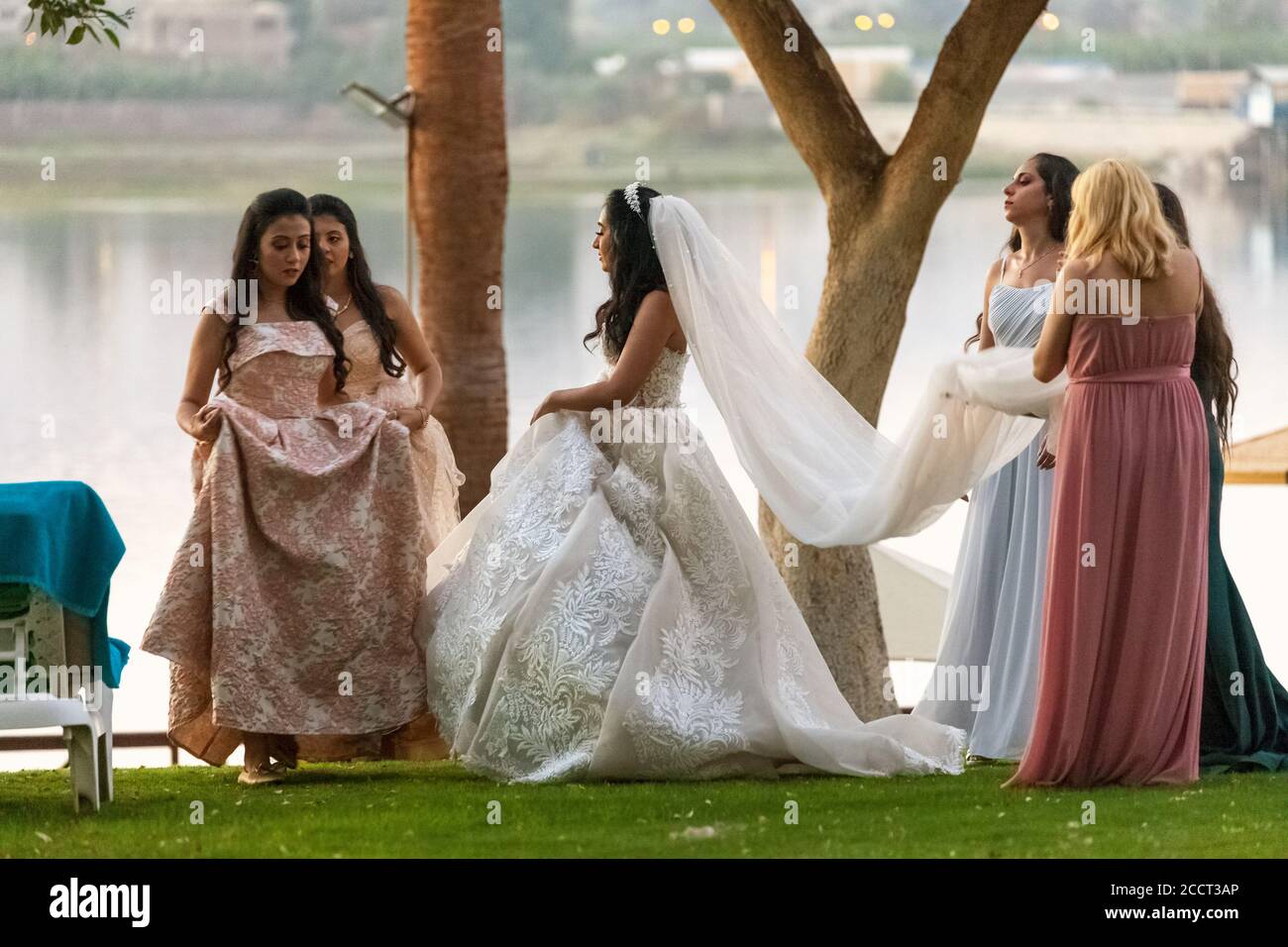 Ägyptische Braut und Brautjungfern am Nil, Luxor Stockfoto