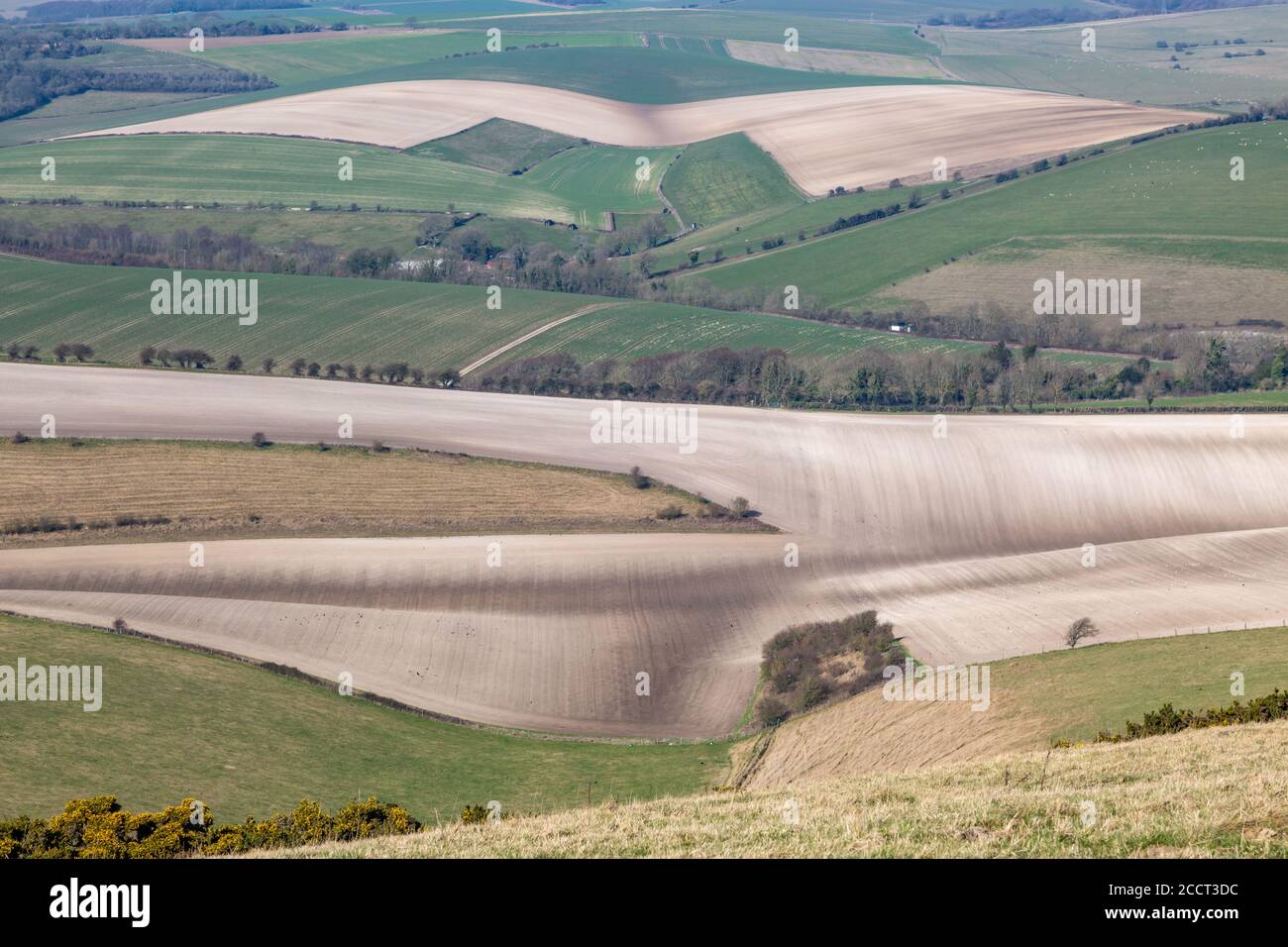 Ein Vollformat-Foto einer hügeligen Sussex-Landschaft, an einem sonnigen späten Wintertag Stockfoto