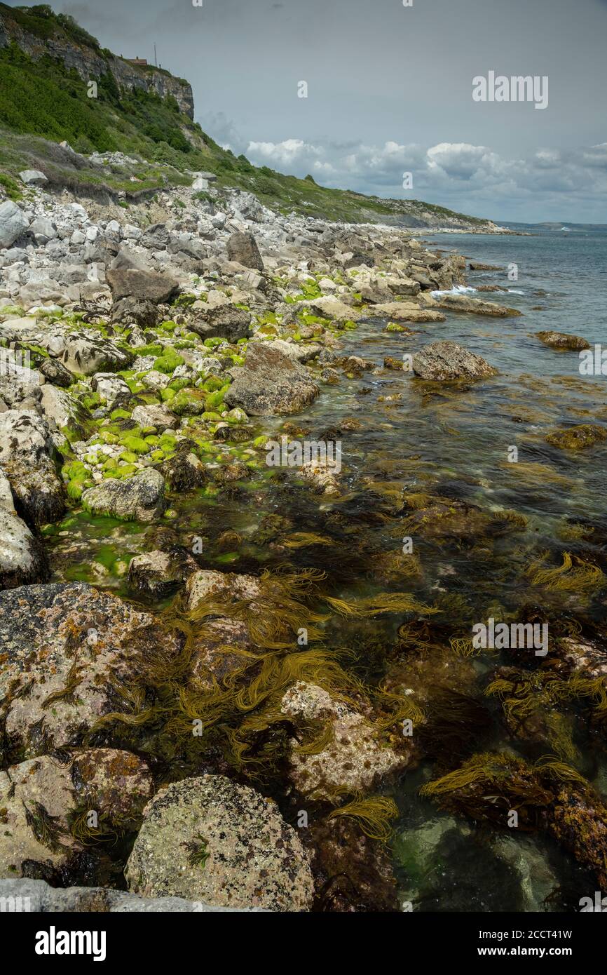 Die Ostküste von Isle of Portland, bestehend aus Portland Kalkstein Felsen. Dorset. Stockfoto