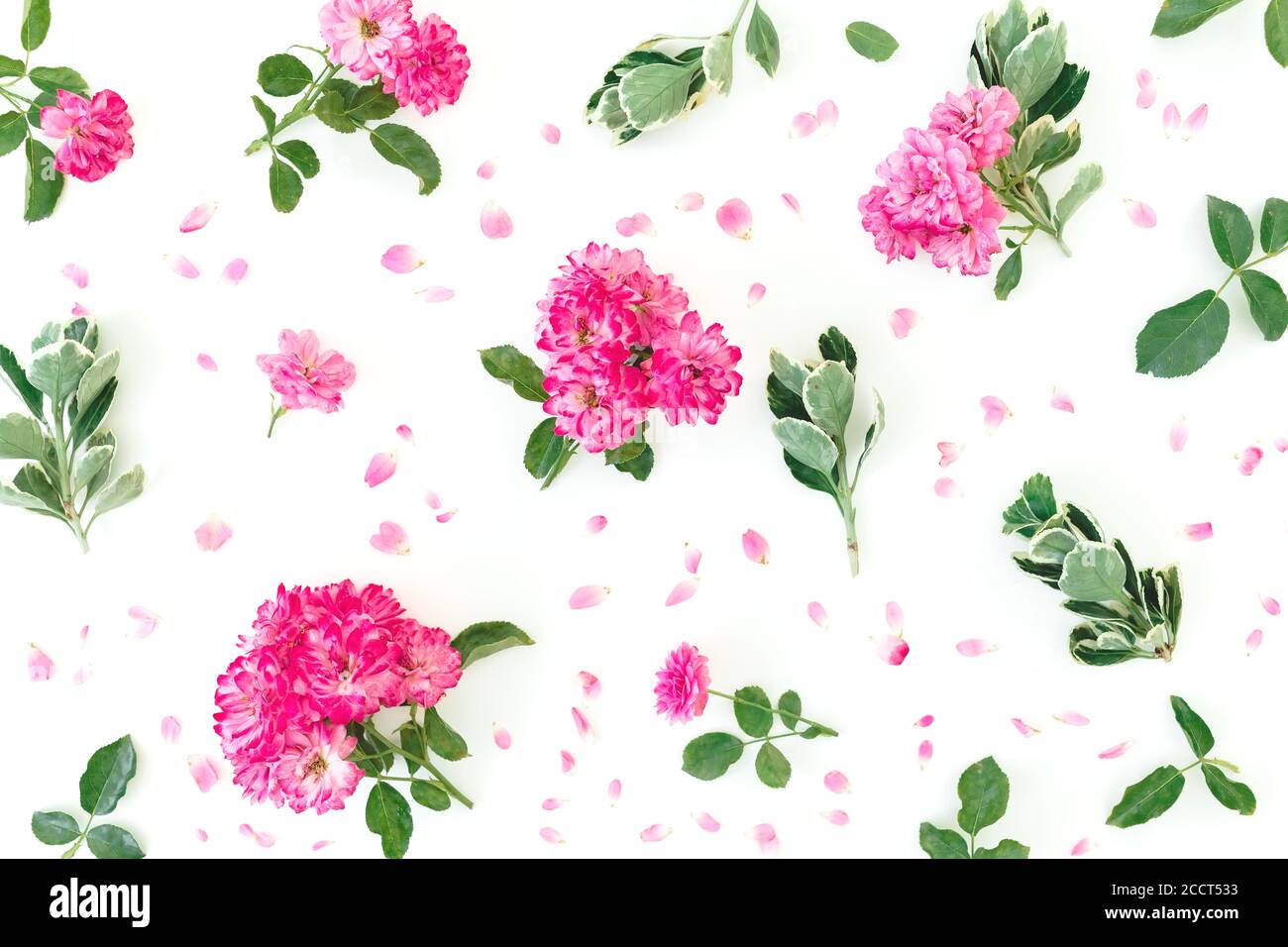 Blumenmuster aus rosa Rosen Blumen und grünen Blättern auf weißem Hintergrund. Flach liegend, Draufsicht Stockfoto