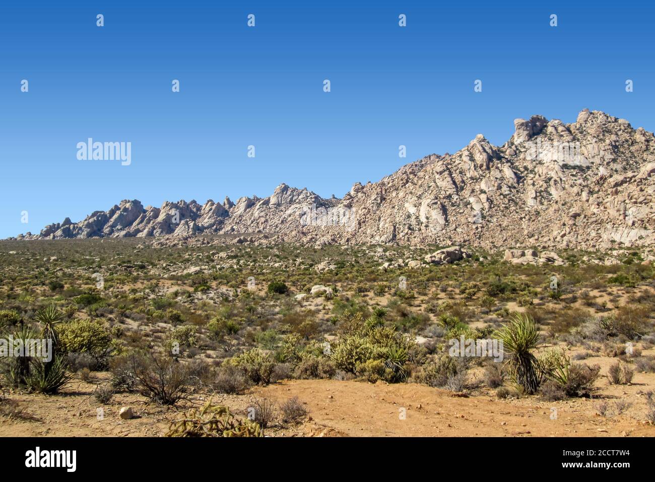 Blick auf eine Boulderkette im Süden von Nevada mit Blauer Himmel Stockfoto