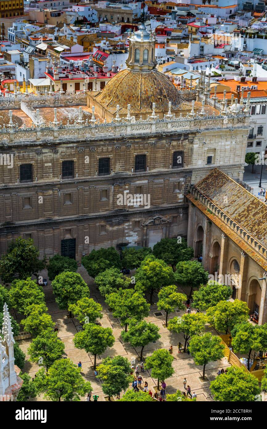 Die Kathedrale von Sevilla Orangenbaum Hof entlang der gefangen Weg zum Giralda-Turm Stockfoto