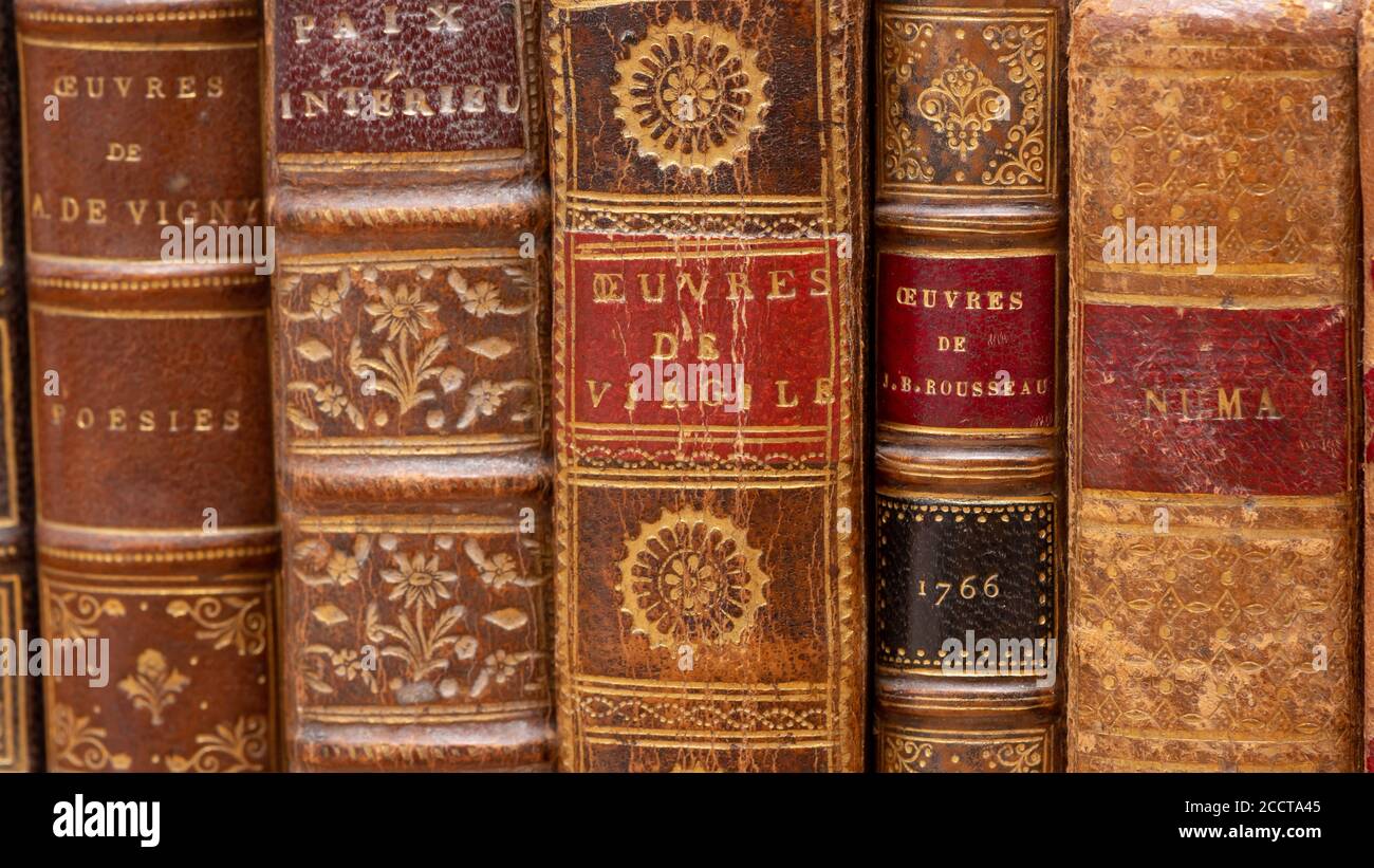 Reihe alter Bücher mit typischen Ledereinbänden aus dem 18. Jahrhundert. Französische Sprache Stockfoto