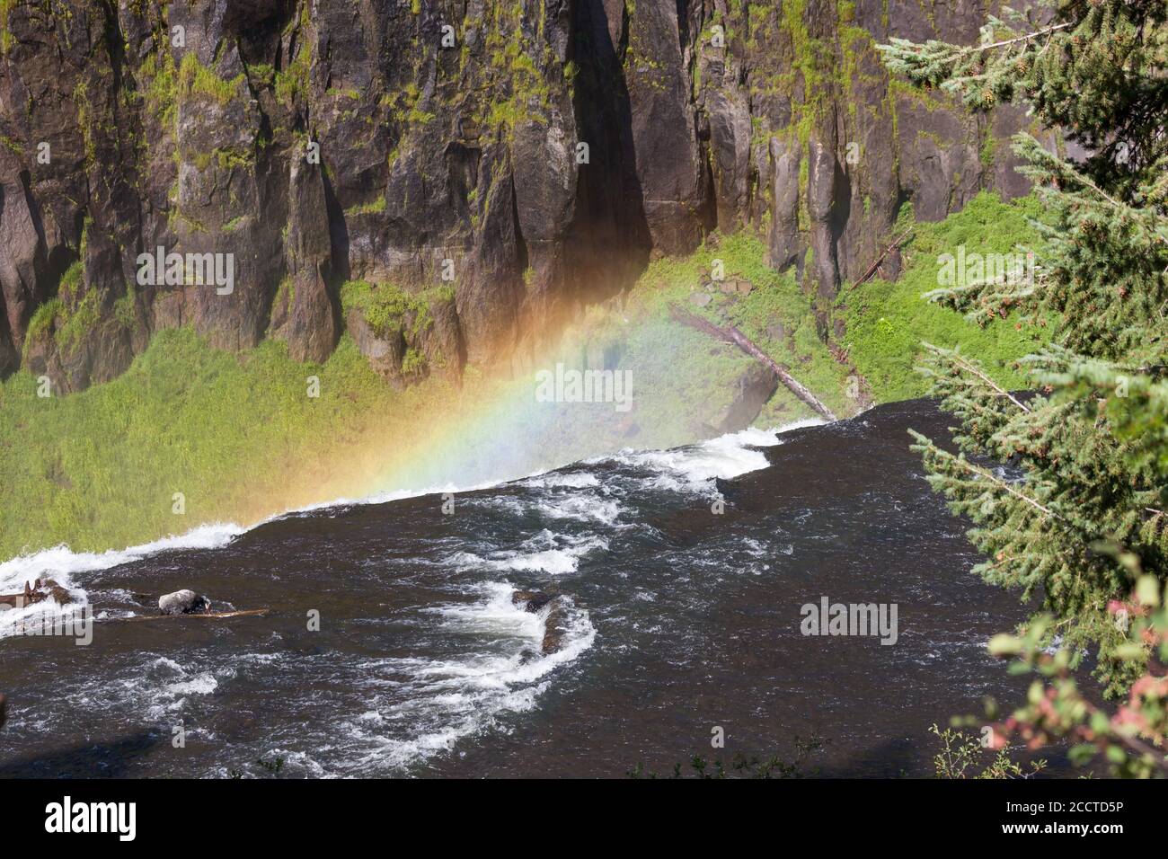 Ein Regenbogen im Nebel der Upper Mesa Falls Es stürzt über eine Klippe in die zerklüftete Wildnis von Henrys Fork des Snake River entlang der Mesa Falls Stockfoto