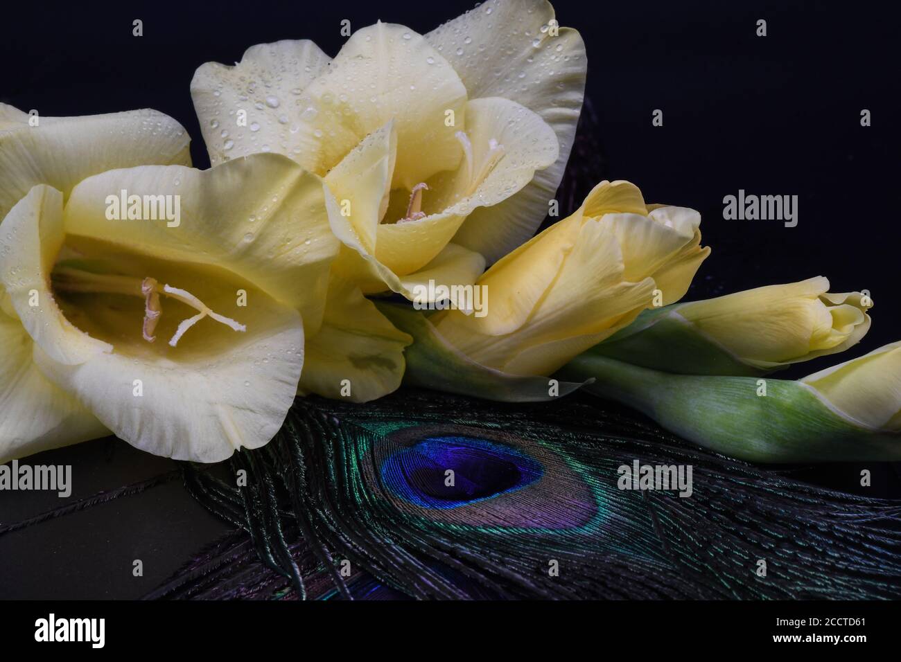 Makrofotografie mit Blumen Stockfoto