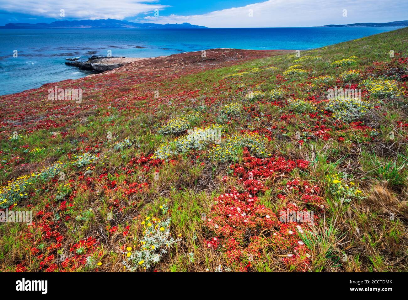 Santa Cruz Island von Carrington Point, Santa Rosa Island, Channel Islands National Park, California USA Stockfoto