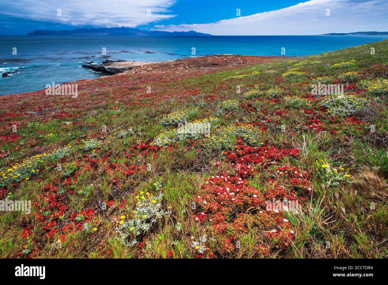 Santa Cruz Island von Carrington Point, Santa Rosa Island, Channel Islands National Park, California USA Stockfoto
