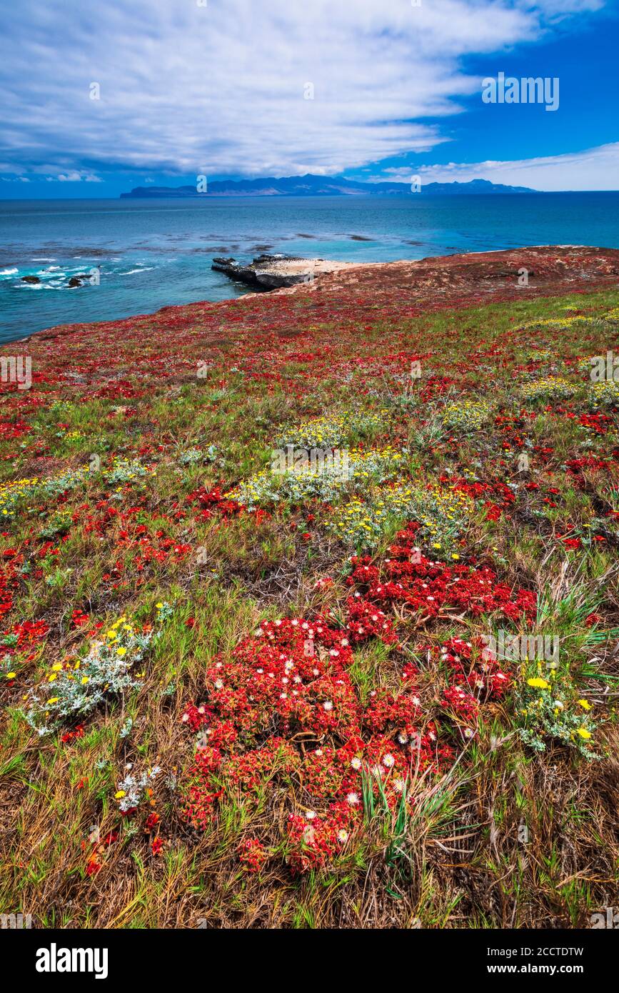 Santa Cruz Island von Carrington Point, Santa Rosa Island, Channel Islands National Park, California USA Stockfoto
