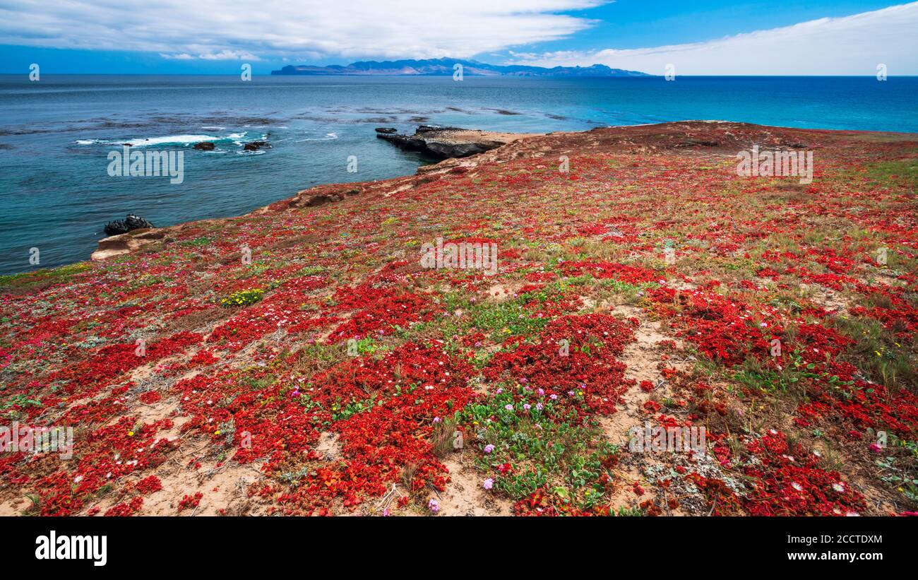 Santa Cruz Island von Carrington Point, Santa Rosa Island, Channel Islands National Park, California USA Stockfoto