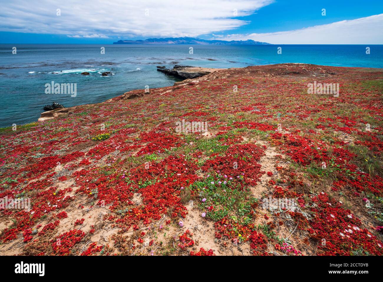 Santa Cruz Island von Carrington Point, Santa Rosa Island, Channel Islands National Park, California USA Stockfoto