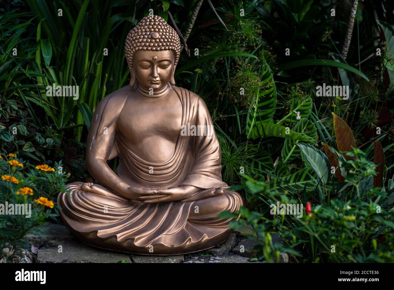 Goldener Buddha in einem grünen Garten Stockfoto