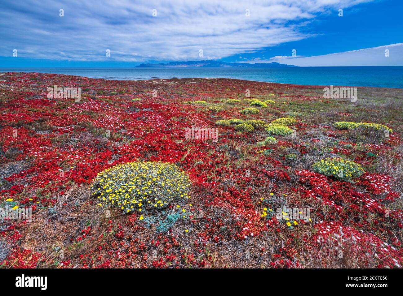 Santa Cruz Island von Carrington Point, Santa Rosa Island, Channel Islands National Park, California USA Stockfoto