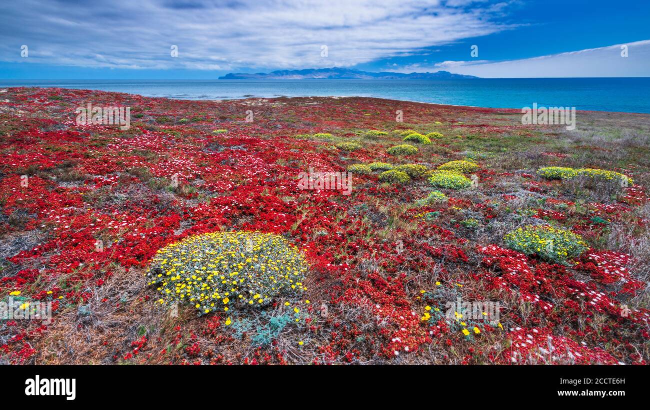 Santa Cruz Island von Carrington Point, Santa Rosa Island, Channel Islands National Park, California USA Stockfoto