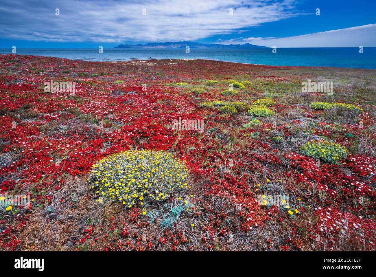 Santa Cruz Island von Carrington Point, Santa Rosa Island, Channel Islands National Park, California USA Stockfoto