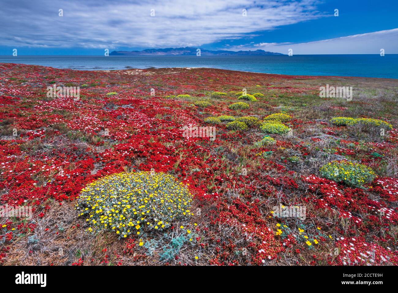 Santa Cruz Island von Carrington Point, Santa Rosa Island, Channel Islands National Park, California USA Stockfoto