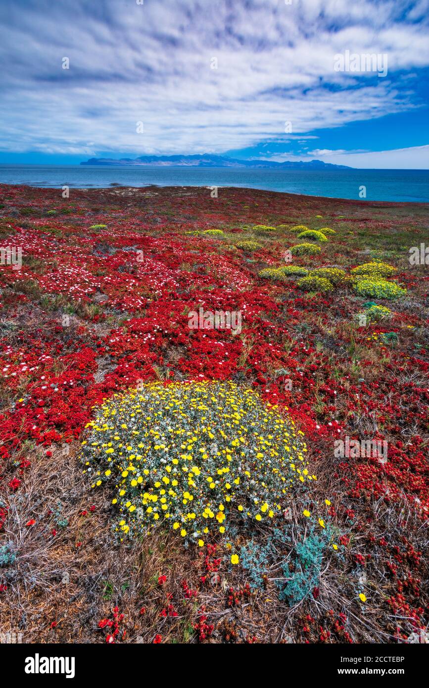 Santa Cruz Island von Carrington Point, Santa Rosa Island, Channel Islands National Park, California USA Stockfoto
