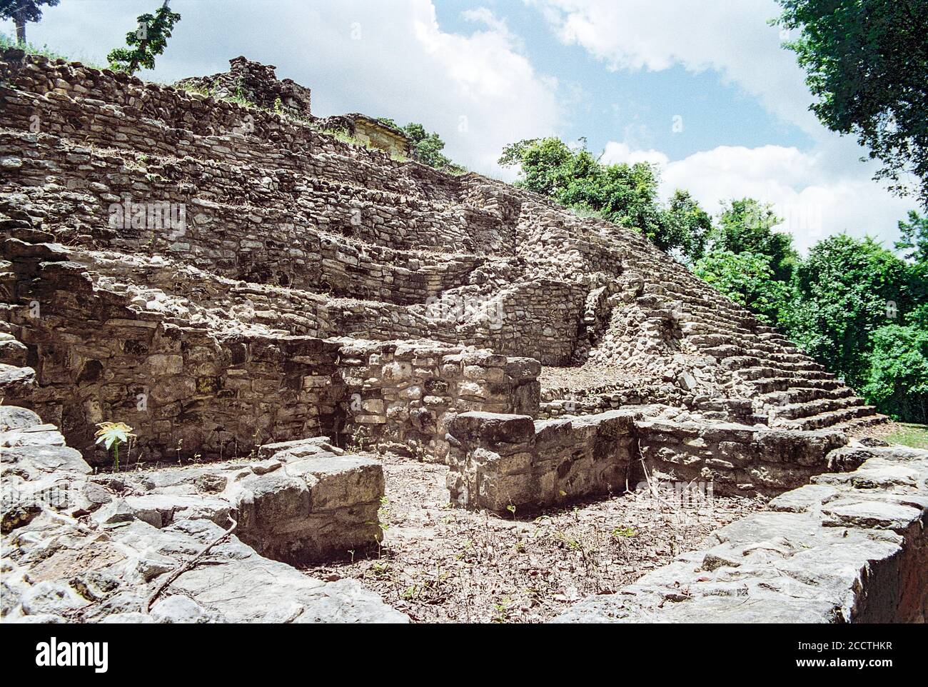 West Acropolis. Yaxchilan Maya Ruinen; Chiapas, Mexiko. Vintage Film Bild - ca. 1990. Stockfoto