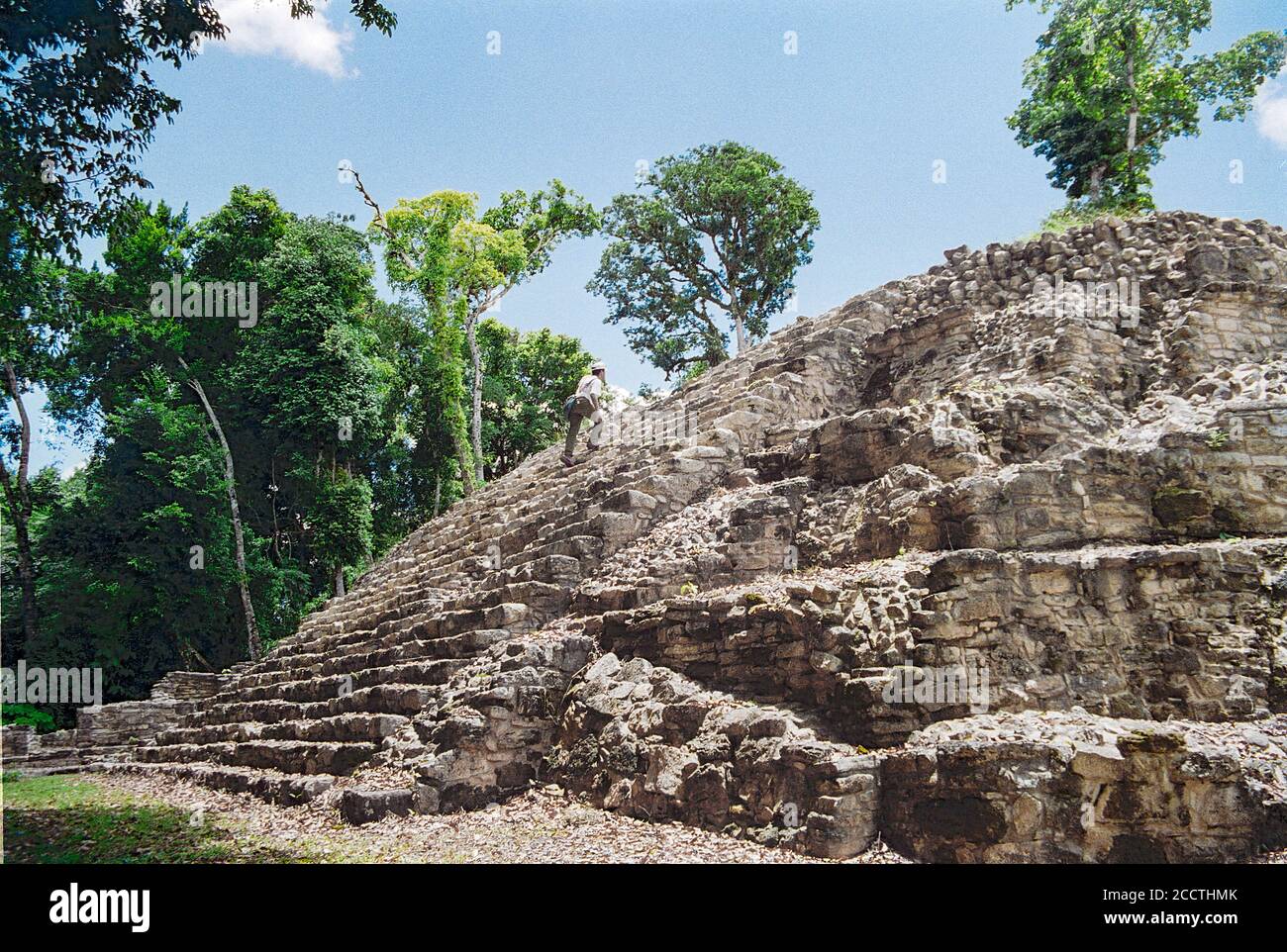 Eine Person klettert Stufen - West Akropolis. Yaxchilan Maya Ruinen; Chiapas, Mexiko. Vintage Film Bild - ca. 1990. Stockfoto