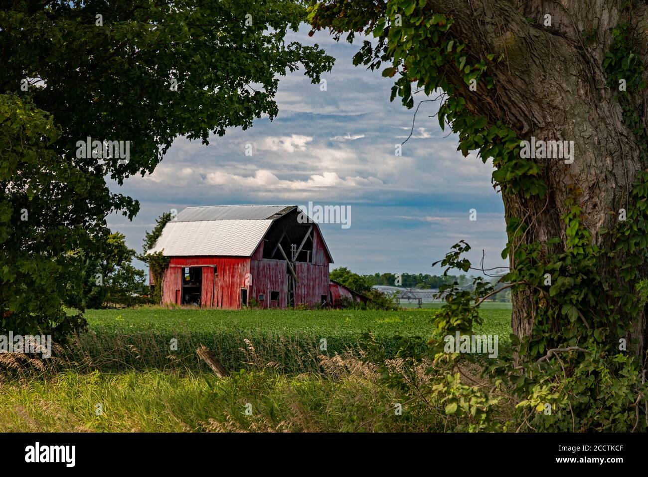 Buchanan, Michigan - eine alte Scheune auf einer südwestlichen Michigan Farm. Stockfoto