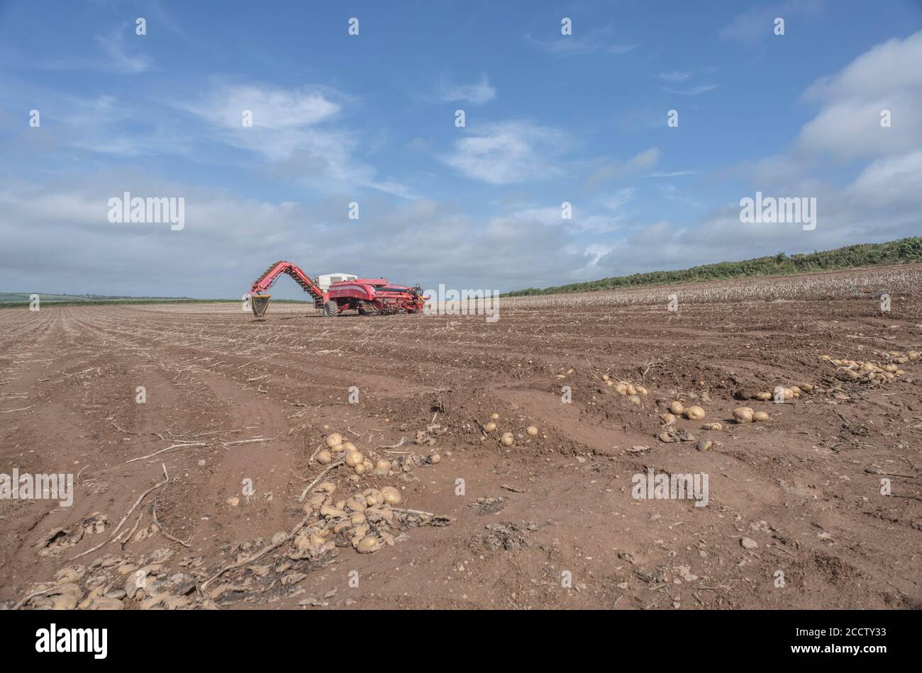 Entkoppelt GRIMME Kartoffelernter auf Skyline von Cornish Hügel Kartoffelfeld mit blauen Sommerhimmel. Für die britische Landwirtschaft & Lebensmittel- / Kartoffelproduktion. Stockfoto