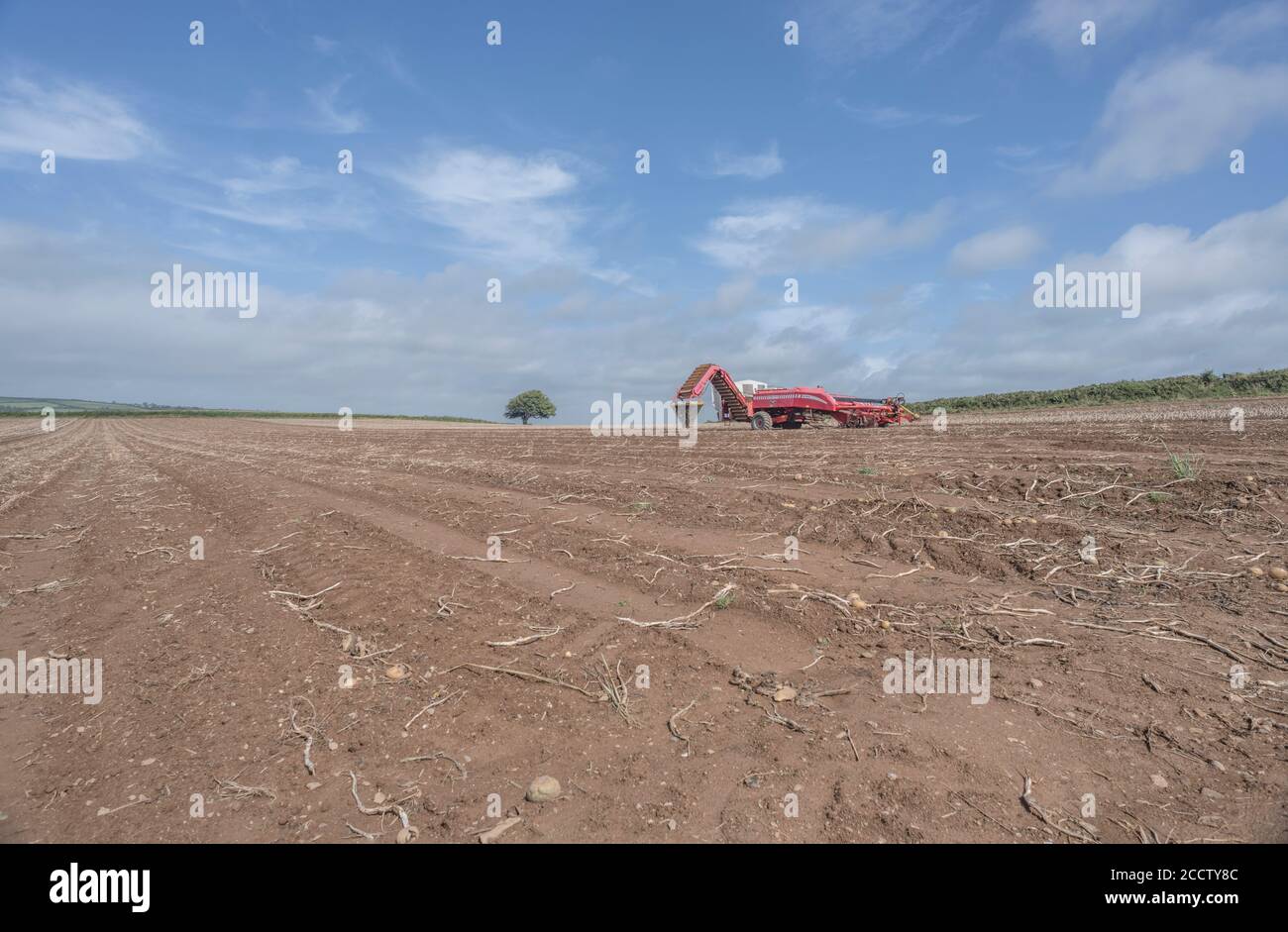 Entkoppelt GRIMME Kartoffelernter auf Skyline von Cornish Hügel Kartoffelfeld mit blauen Sommerhimmel. Für die britische Landwirtschaft & Lebensmittel- / Kartoffelproduktion. Stockfoto