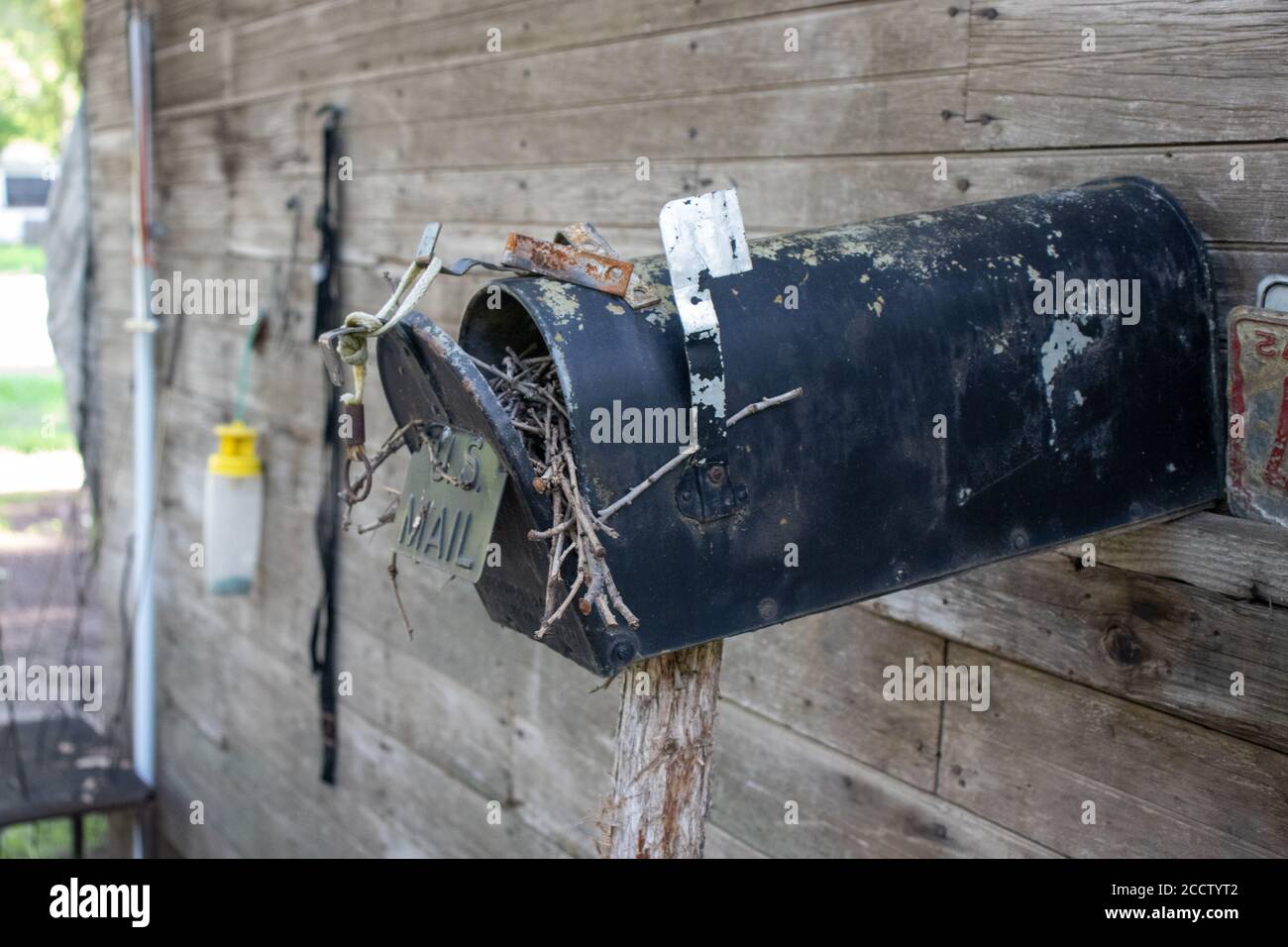 Alte verlassene Land Briefkasten mit Vogelnest darin. Hochwertige Fotos Stockfoto