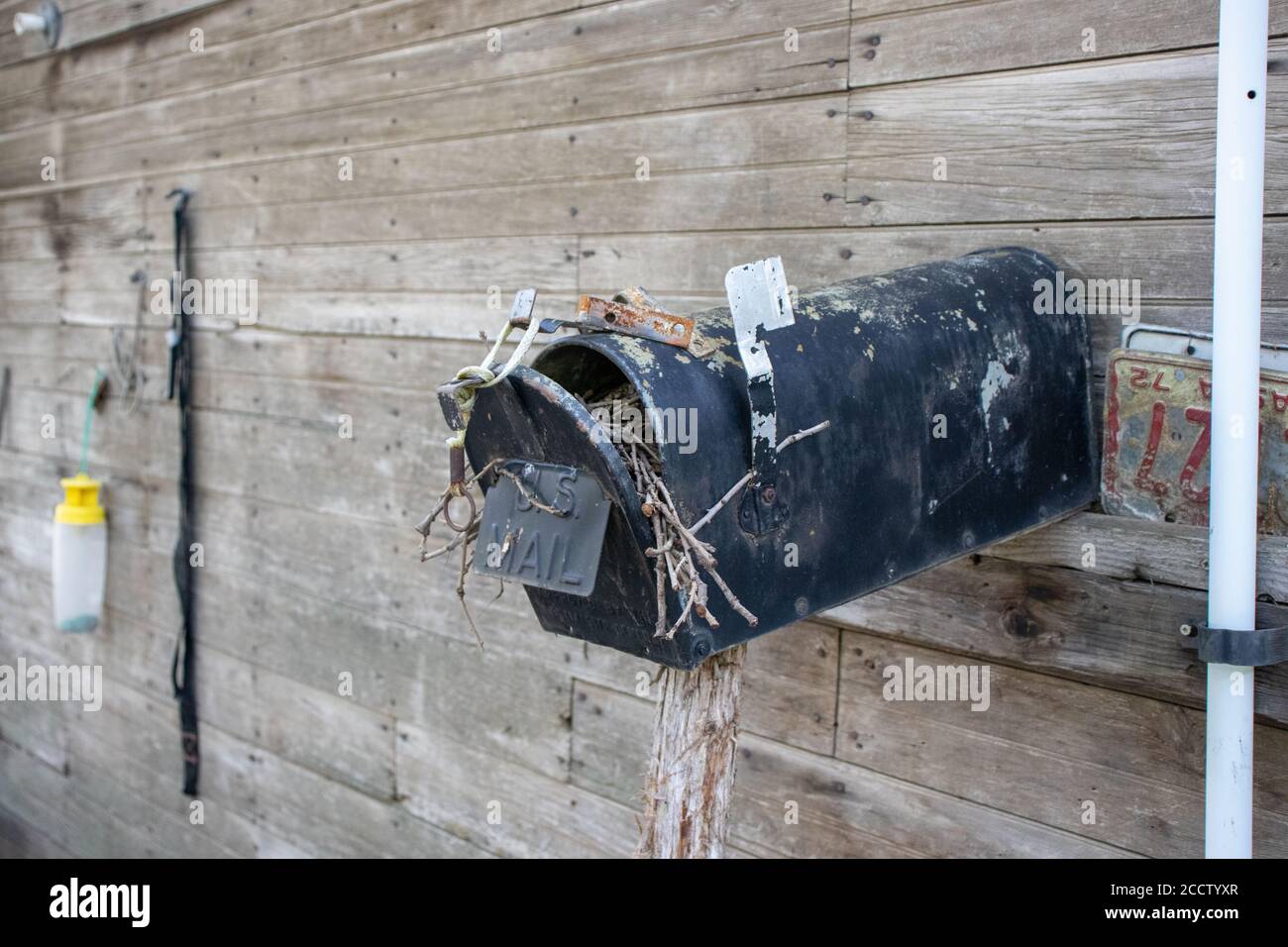 Alte verlassene Land Briefkasten mit Vogelnest darin. Hochwertige Fotos Stockfoto