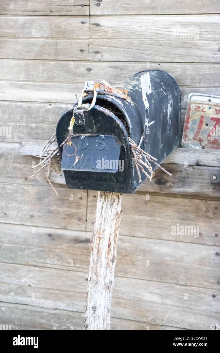 Nahaufnahme der Vorderseite eines alten verlassenen Land Briefkasten mit Vogelnest in ihm auf der Seite eines Schuppen. Hochwertige Fotos Stockfoto