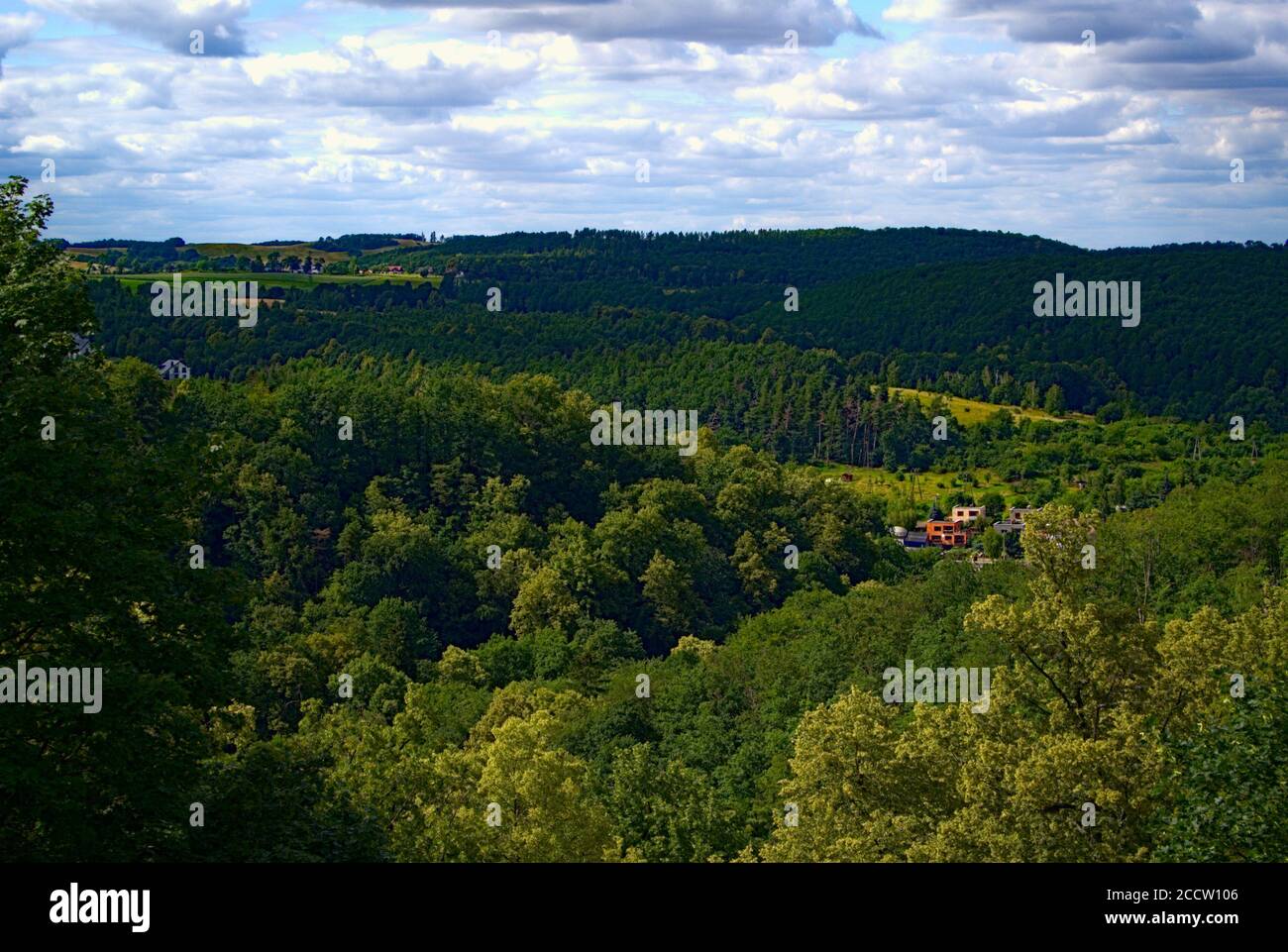 Eine atemberaubende Aussicht auf die reichen Wälder im Südwesten Polen Stockfoto
