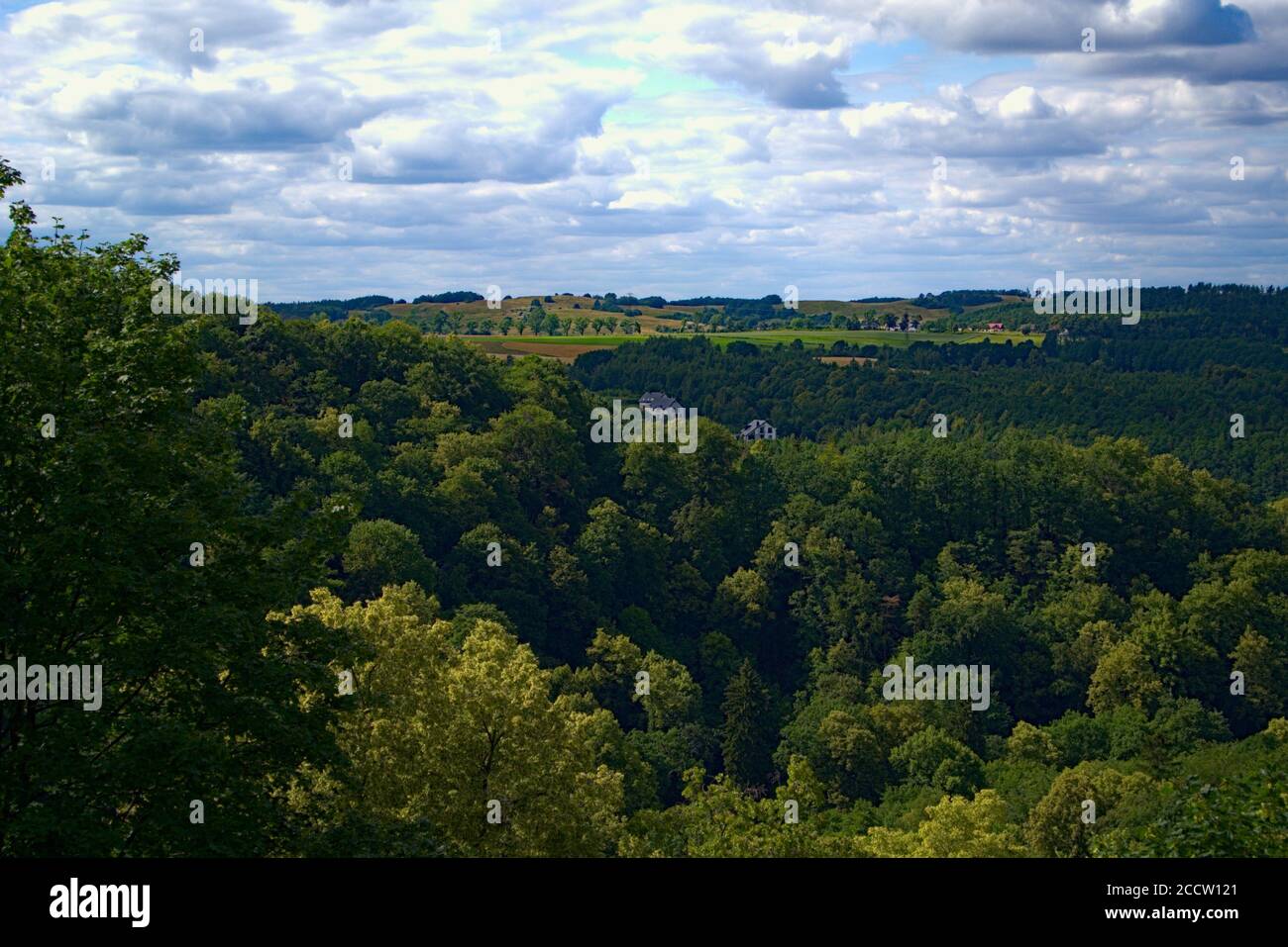 Eine atemberaubende Aussicht auf die reichen Wälder im Südwesten Polen Stockfoto