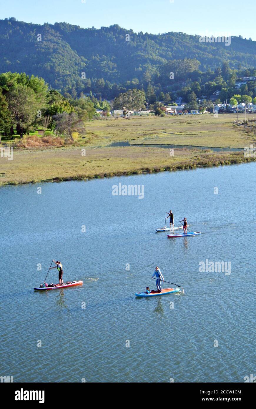 Paddelboarder spielen auf dem corte madera Creek in der Marin Grafschaft Larkspur kalifornien usa während covid 19 Lockdown Stockfoto
