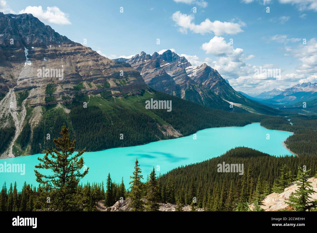 Peyto Lake im Banff Nationalpark, Alberta, Kanada. Stockfoto