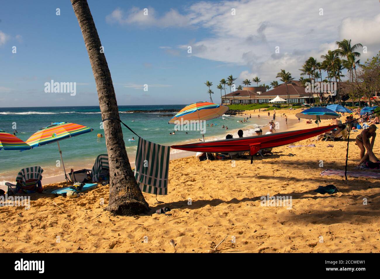 Hängematte am Kiahuna Beach, Kauai, Hawaii, USA Stockfoto