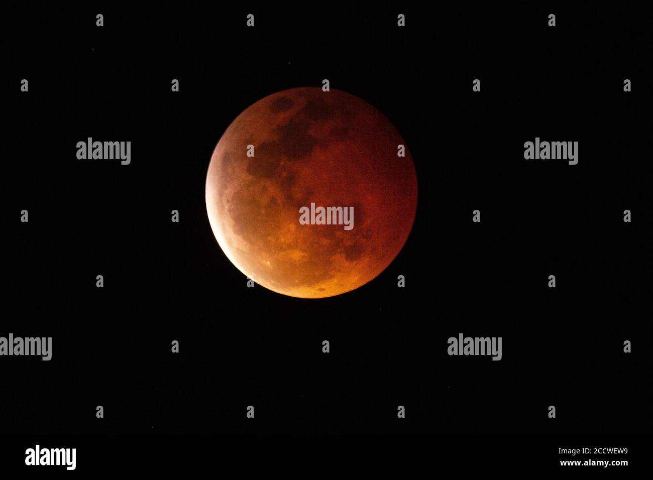 Super-Blut-Wolfmond, Honolulu, Oahu, Hawaii, USA Stockfoto