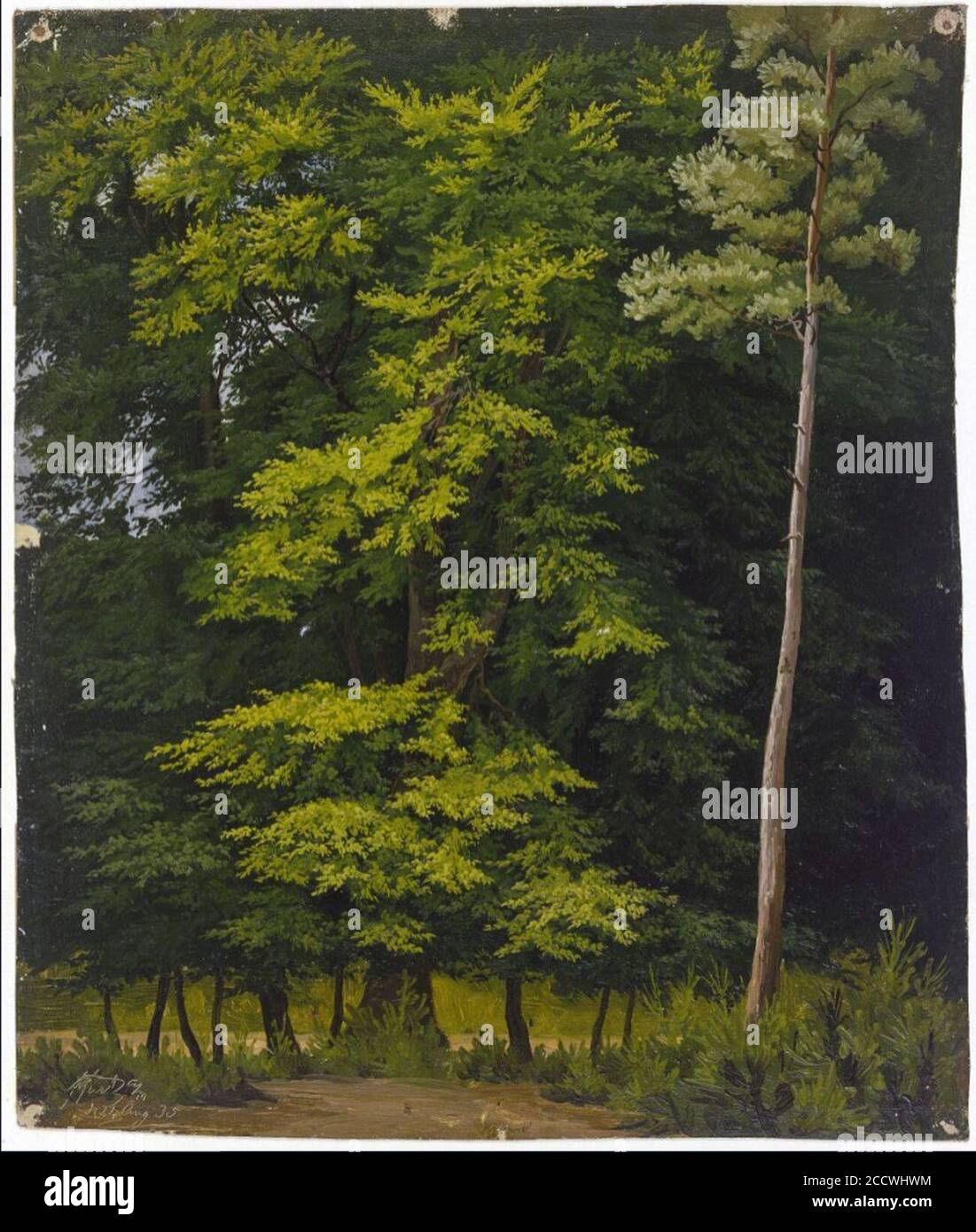 Johann christian heerdt Fotos und Bildmaterial in hoher Auflösung Alamy